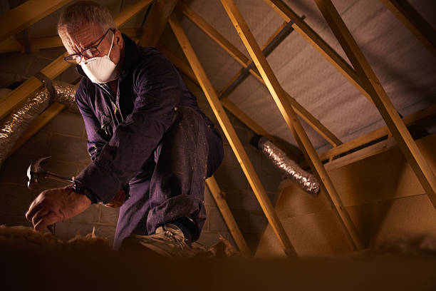 Best Commercial Insulation in Lake Wilderness, VA